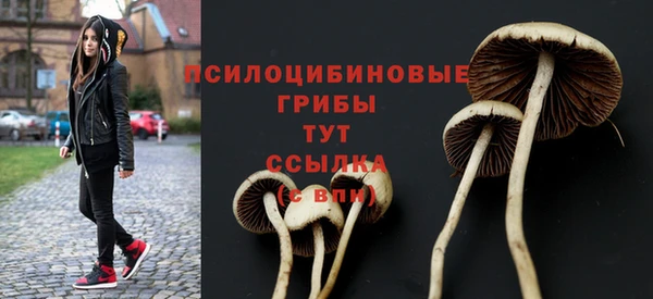 молекула духа Алзамай