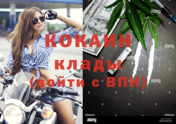 молекула духа Алзамай