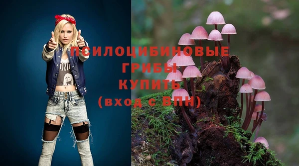 ECSTASY Кулебаки