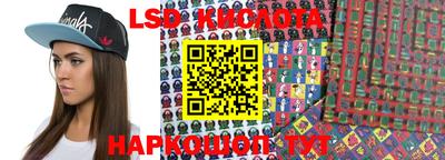 ПСИЛОЦИБИНОВЫЕ ГРИБЫ Кимры